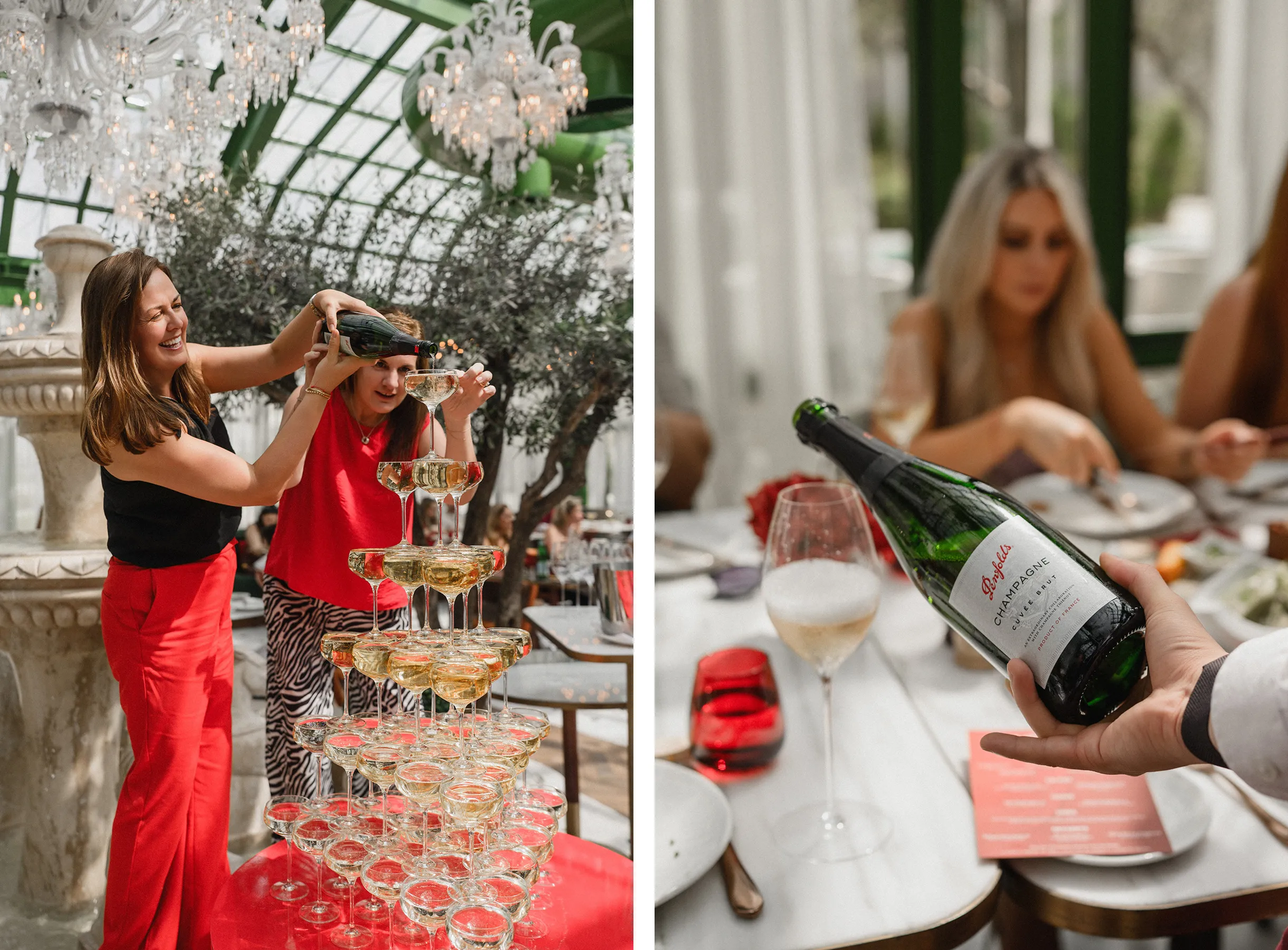 PENFOLDS | THE RED AFFAIR